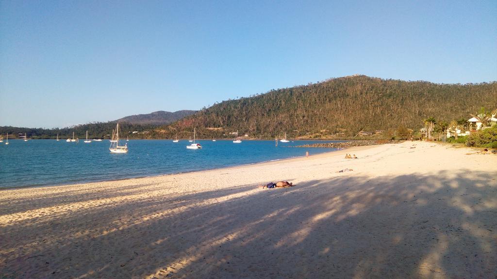 Boathouse Port Of Airlie Leilighet Airlie Beach Eksteriør bilde